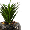 Artificial Plant Ceramic Planter Spotted Office Desk Plant Green Dracaena 18cm