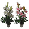 Artificial Lily Plant Stargazer Style 90cm Pink White Pot