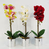 Artificial Orchid White Silver Pot 46cm