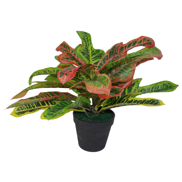 Artificial House Plant Codiaeum Multicoloured Office Plant 40cm Bright Croton