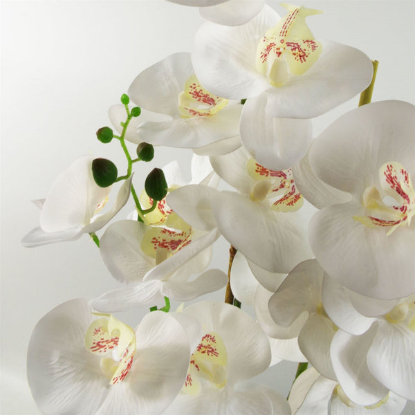 Artificial Orchid Flower Plant 70cm White Plastic Pot 70cm