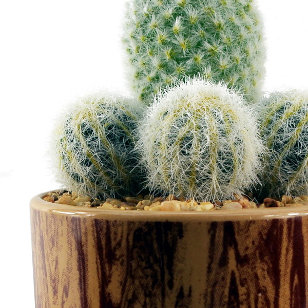 Artificial Cactus Plant Cacti in Ceramic Planter