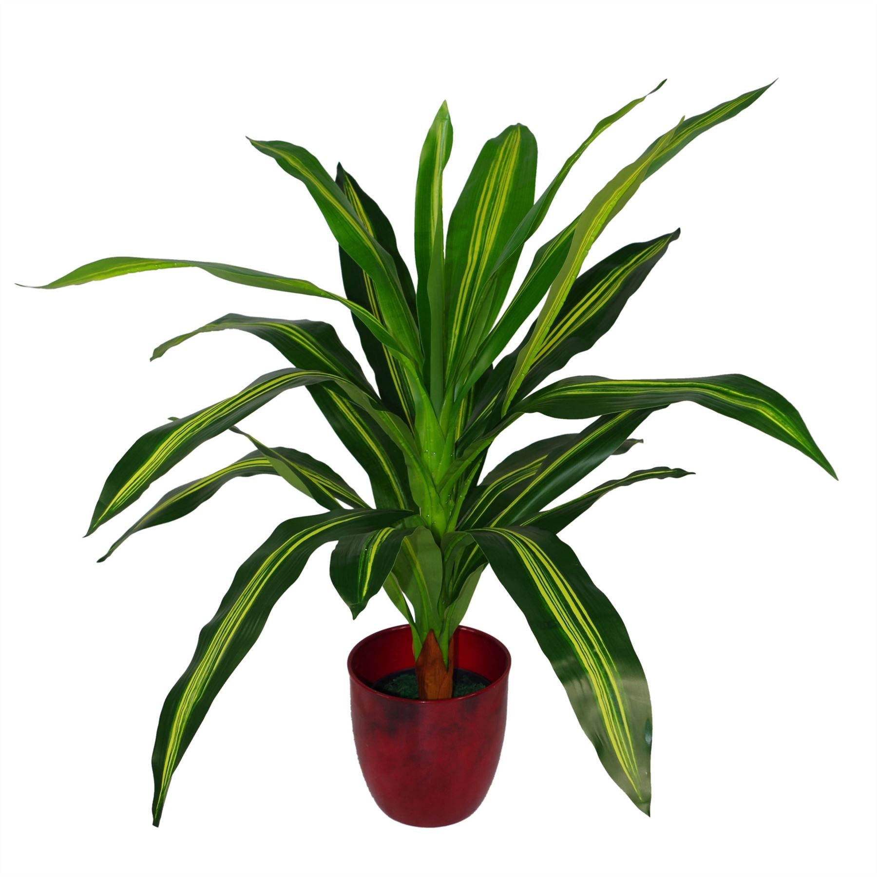 Tropical Artificial Plants 90cm Dracaena House Plant