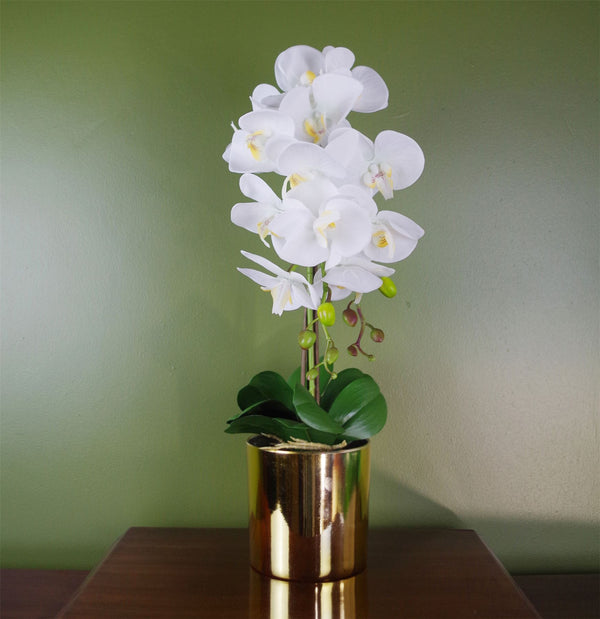 White Artificial Orchid Gold 52cm Real Touch