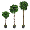 Artificial Topiary Bay Laurel Trees Pair 120cm Trunk