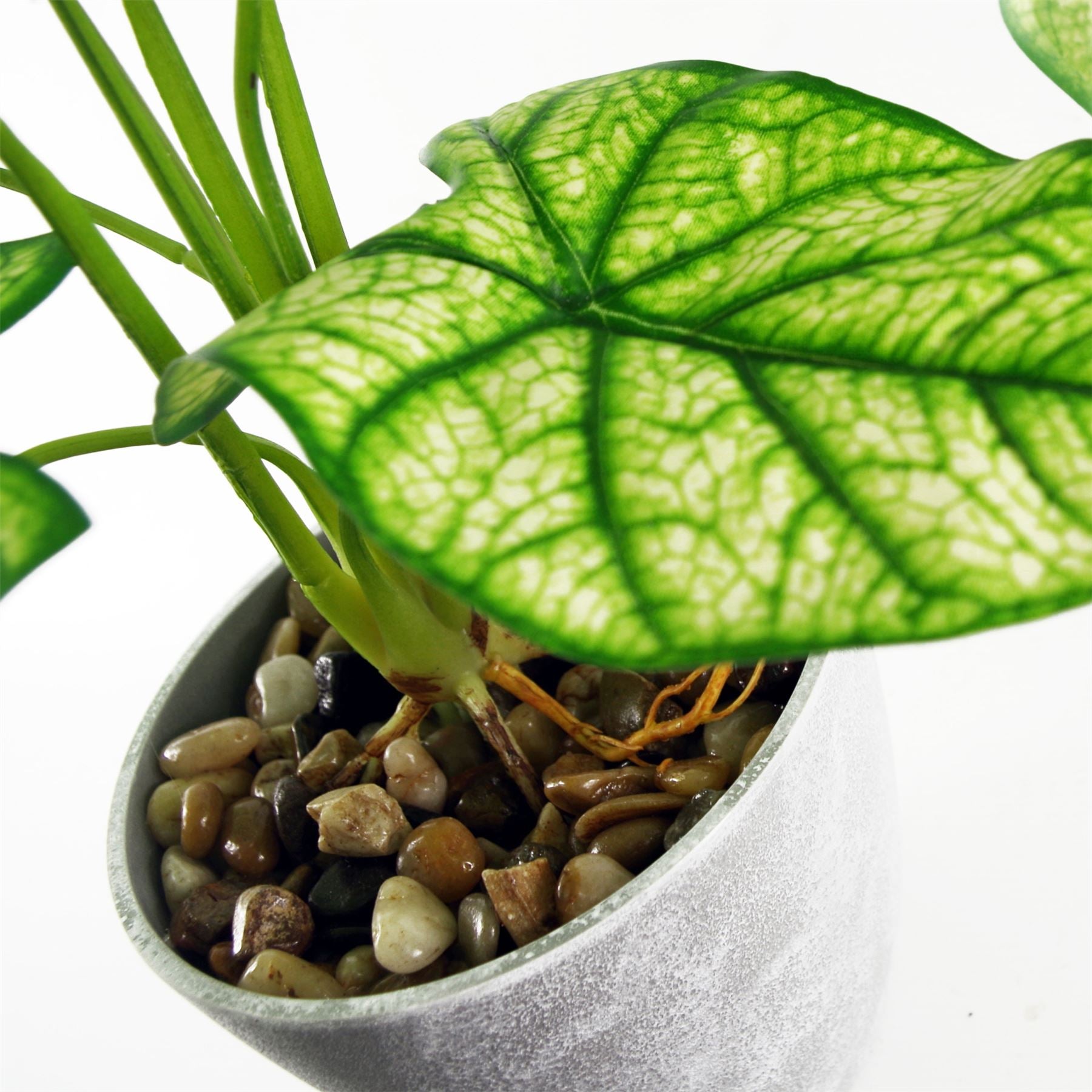 Artificial Plant Taro in Decorative Planter