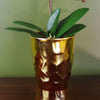 White Artificial Orchid Plant Gold Pot 54cm