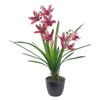 Artificial Flowers Orchid Black Ceramic Planter Dark Pink 50cm