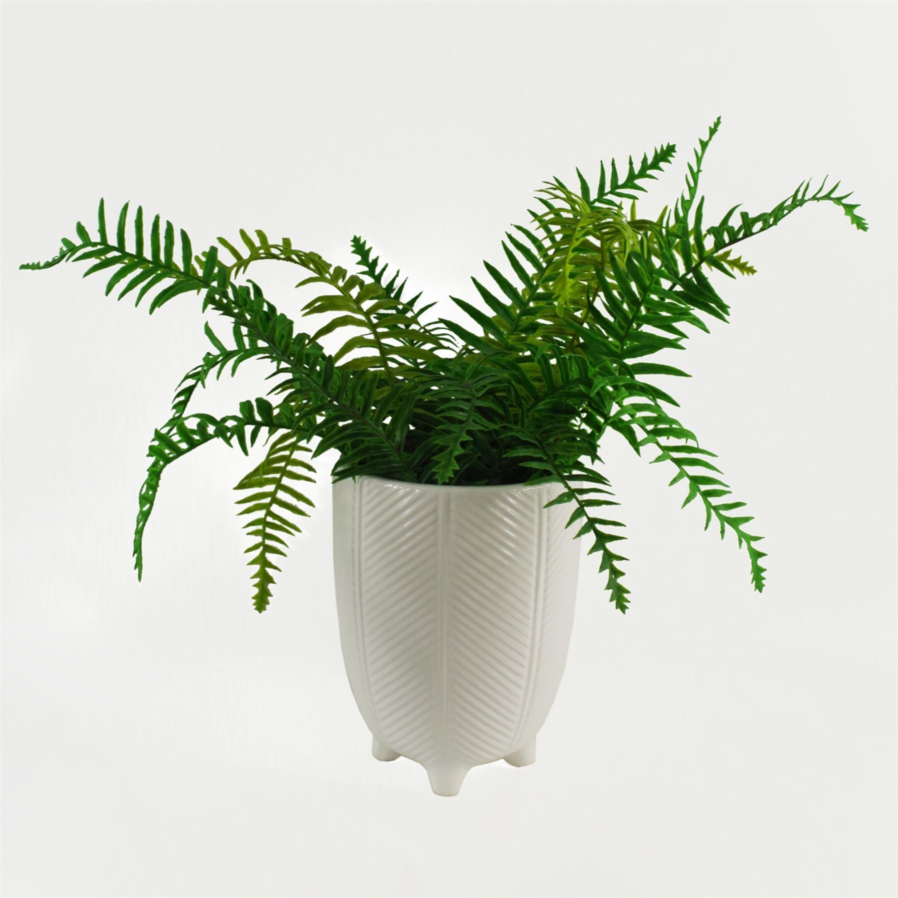 Ceramic Plant Pot Planter Embossed White Feet 15 x 15 x 18.5cm