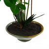 Artificial Orchid Glazed Planter White Glazed Planter 65cm