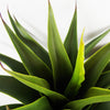 Artificial Tropical Yucca Plant Plants 55cm