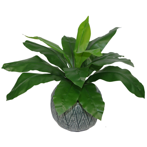 Artificial Bird Nest Fern 50cm ard Plants