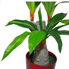 Artificial Dracaena Plant 75cm Tropical Plants