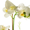 Artificial Orchid Plant in Planter 55cm