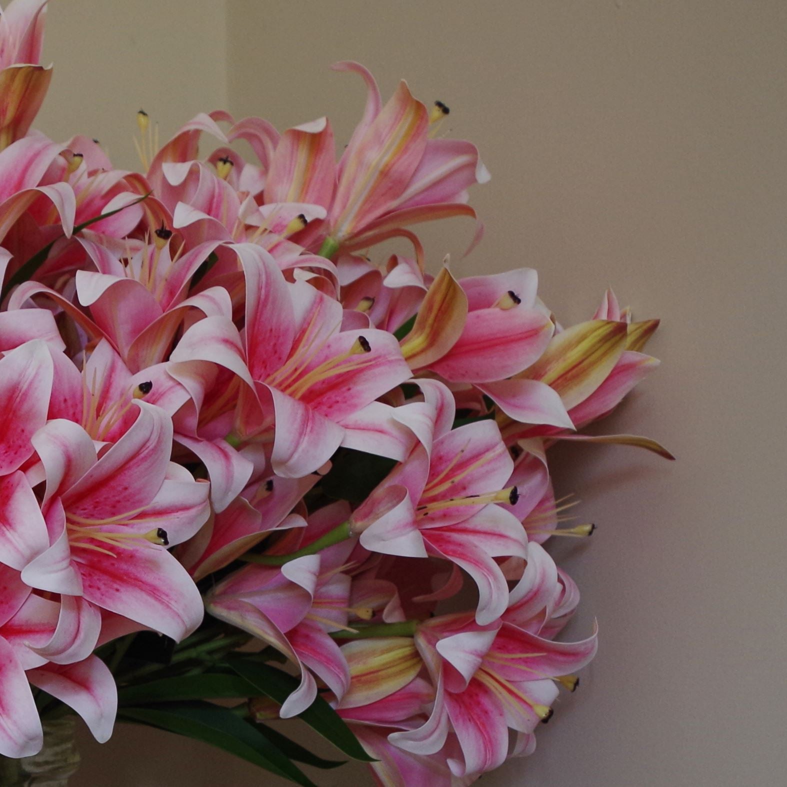 Artificial Flowers Lily Plant Pink Bare Stem 60cm Pack 12