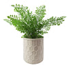 White Honeycomb Ceramic Planter