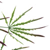 Artificial Foliage Hanging Acer Fern Plant