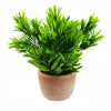 Artificial Houseplant Terracotta Pot Honey Shrub