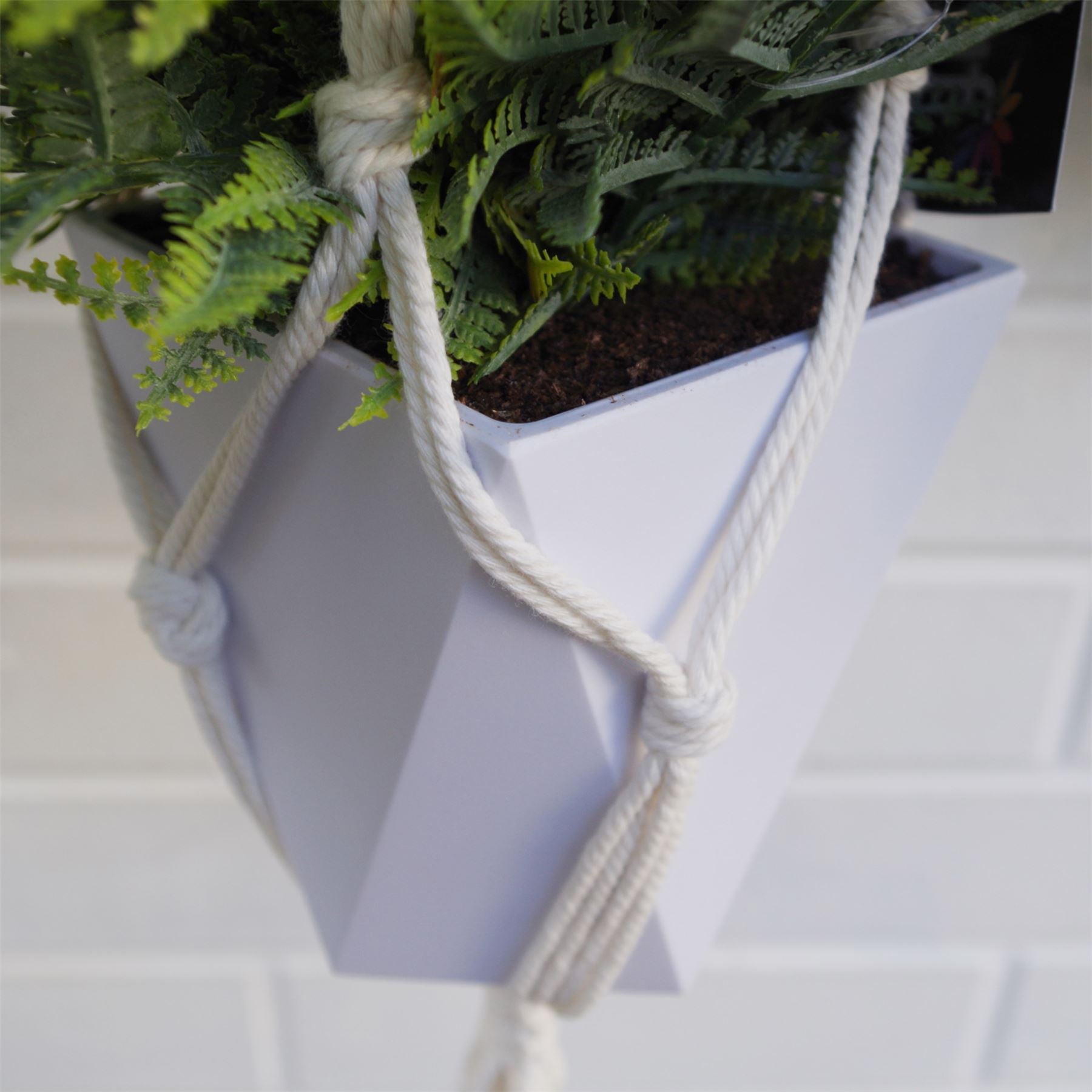 Urban Jungle Hanging Fern Plant 100cm Plants