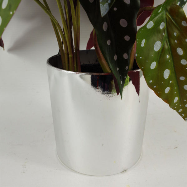 Artificial Foliage Plant Pot 40cm Artificial Begonia Maculata Plant