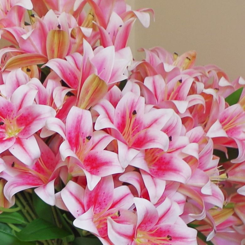 Artificial Lily Plants Pink 60cm 12 x Bare Stem Flowers