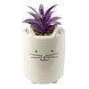 Ceramic Cat Planter Animals Cat Pink Succulent 18cm