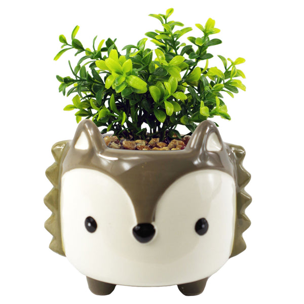 Artificial Plant Ceramic Fox Planter Grey Fox Crassula 15cm